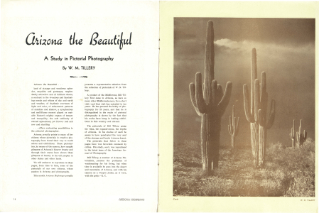 ARIZONA THE BEAUTIFUL