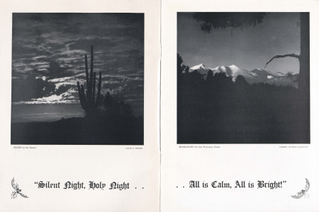 NIGHT on the Desert.