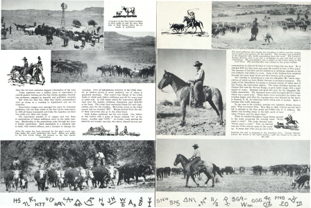 Roundup in Apacheland