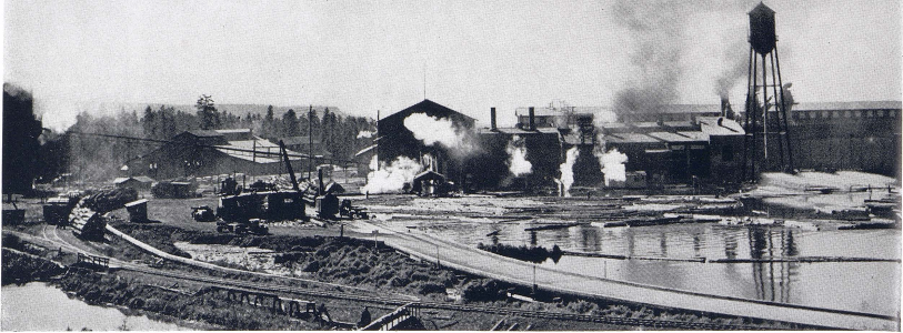 Lumbering in Arizona