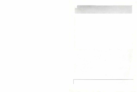 “Aisle of Pines” OAK CREEK CANYON
