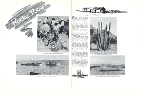 A short drive from Arizona is deep-sea fishing.