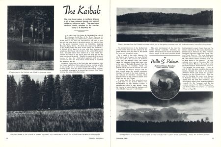 Waterholes in the Kaibab are filled by summer rains.