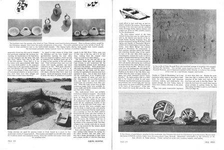 Family Album of Cacti