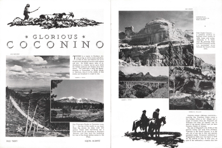 Glorious Coconino