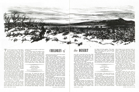 Children of the Desert