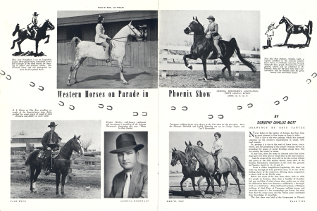 Western Horses on Parade in Phoenix Show