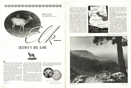 Elk-Arizona's Big Game