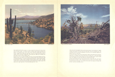 "SAN CARLOS LAKE"