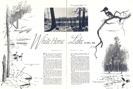 "The lake is peopled by the graceful grebes."