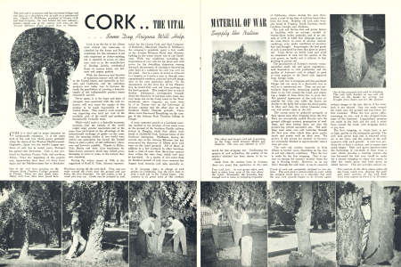 Cork The Vital Material of War