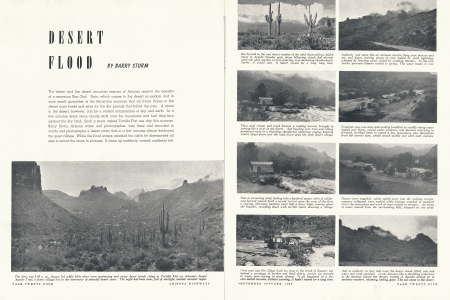 Desert Flood