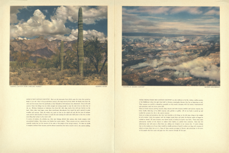 "SABINO CANYON FROM SAHUARO FOREST"