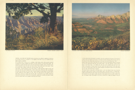 SYCAMORE CANYON