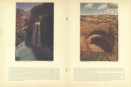 MOONEY FALLS CATARACT CANYON
