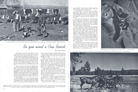 A cowman's life is not an easy one, but the combination of work and play in the Arizona sun is invigorating, healthful.