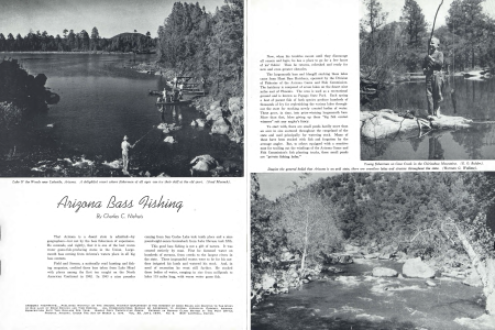 Lake O' the Woods near Lakeside, Arizona. A delightful resort where fishermen of all ages can try their skill at the old sport.