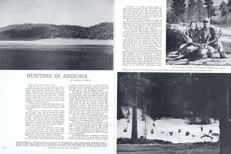 Hunting in Arizona