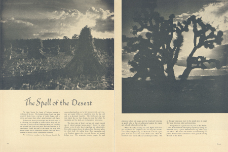 The Spell of the Desert