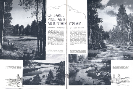 OF LAKE, PINE AND MOUNTAIN