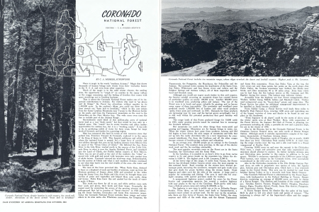 Coronado National Forest, despite location in arid country, has much tall timber. Attractions of the forest stretch “from hell to berakfast.”