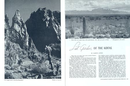 "The jagged peaks of the Kofa Mountains"