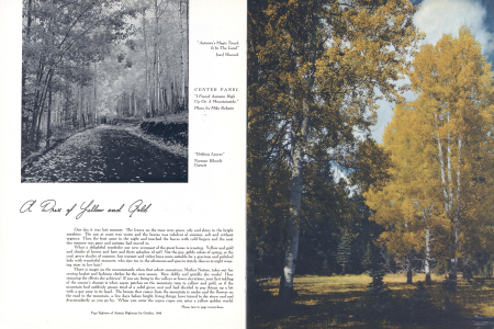 "I Found Autumn High Up On A Mountainside."