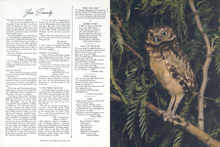 "WISE, OLD OWL"