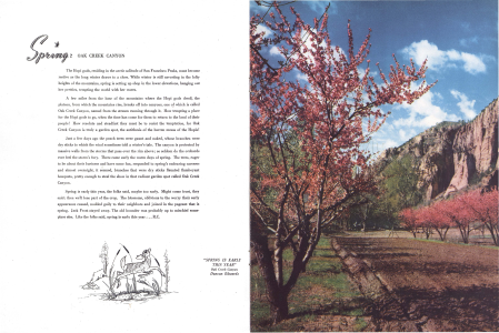 "SPRING IS EARLY THIS YEAR"
Oak Creek Canyon
Duncan Edwards