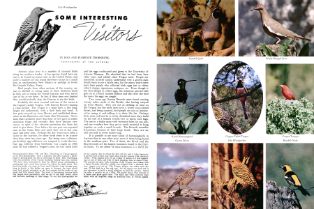 SOME INTERESTING VISITORS