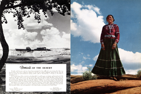 NOMADS OF THE DESERT