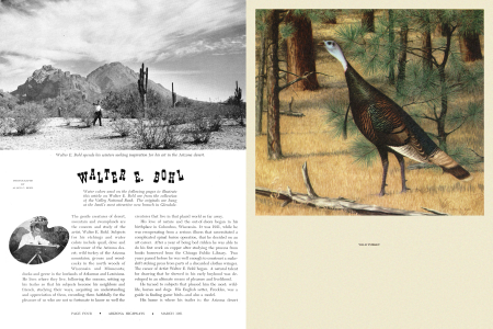 Walter E. Bohl spends his winters seeking inspiration for his art in the Arizona desert.