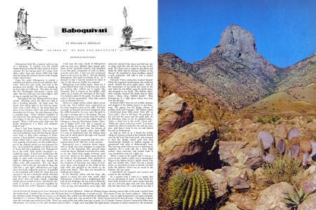 BABOQUIVARI