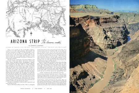 ARIZONA STRIP-