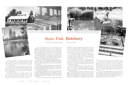 STATE FISH HATCHERY