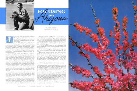 Focusing on Arizona