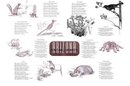 ARIZONA NATURE STUDIES
