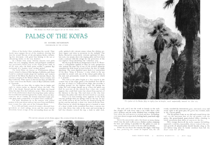 PALMS OF THE KOFAS