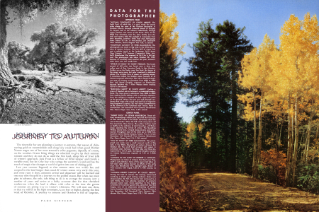 JOURNEY TO AUTUMN