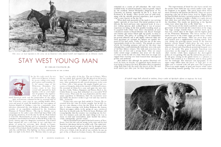 STAY WEST, YOUNG MAN