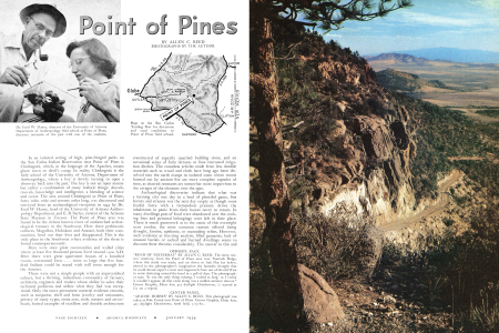 Point of Pines