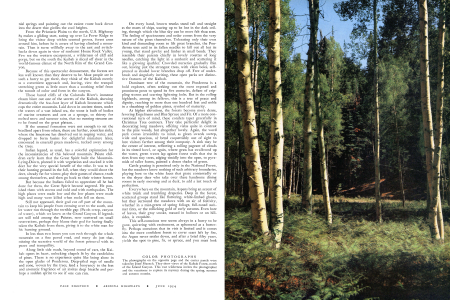 Josef Muench