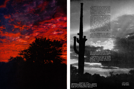 Greasewood & Evening Sky