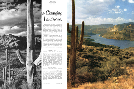 THE CHANGING LANDSCAPE