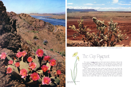 The Nicest Thing About Christmas