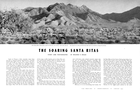 THE SOARING SANTA RITAS.