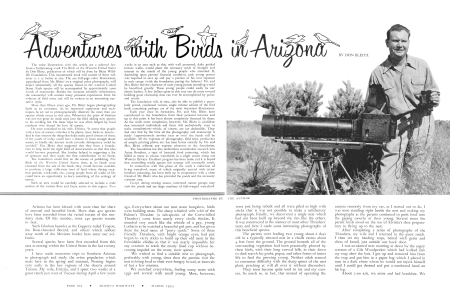 ADVENTURES WITH BIRDS IN ARIZONA