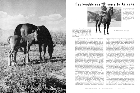 THOROUGHBREDS COME TO ARIZONA