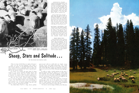 SHEEP, STARS AND SOLITUDE