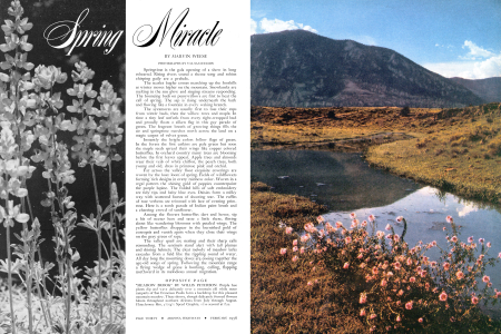 "MEADOW BROOK"